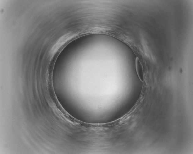 X0000052550242200507221458