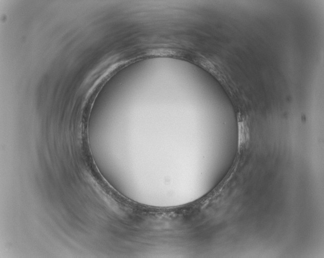 X0000052550243200507221458