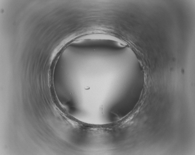 X0000052550244200507221458