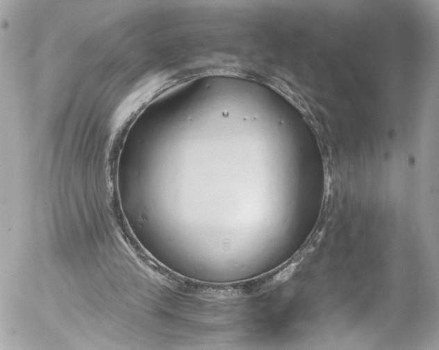 X0000052550245200507221458