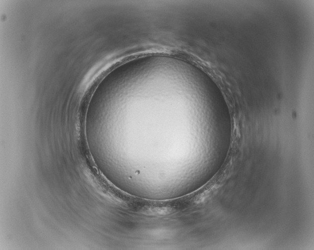 X0000052550247200507221458