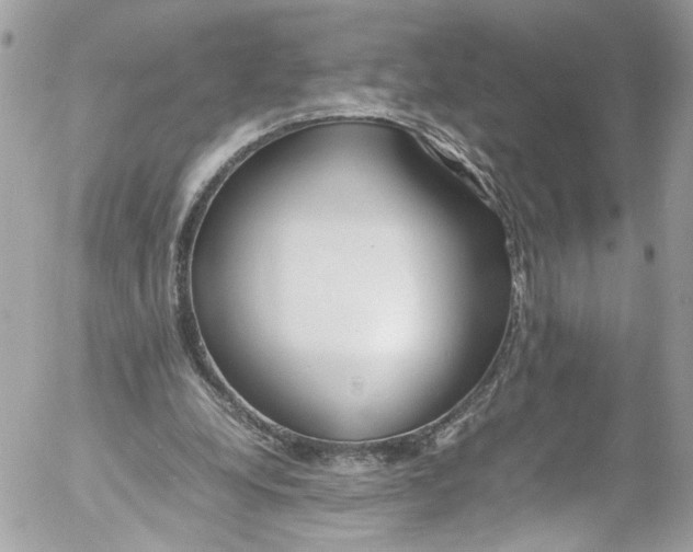 X0000052550248200507221458