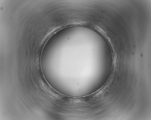 X0000052550249200507221458