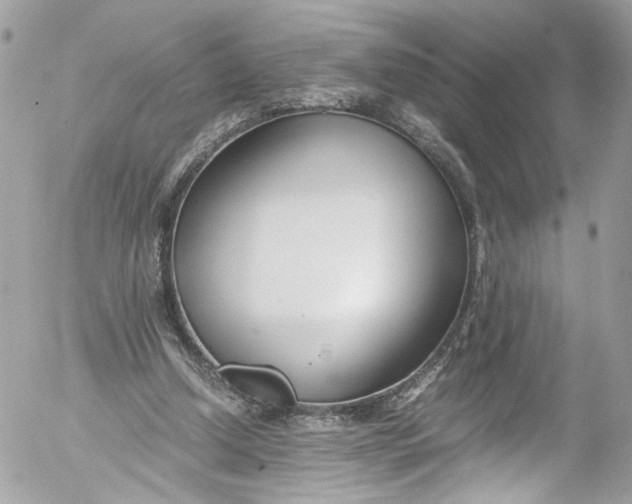 X0000052550250200507221458