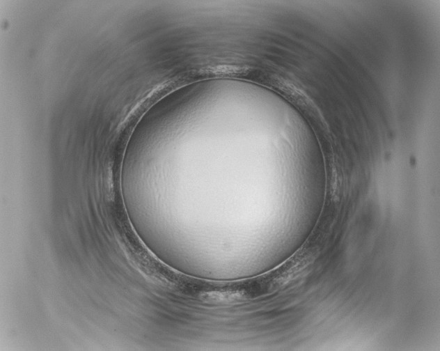 X0000052550251200507221458