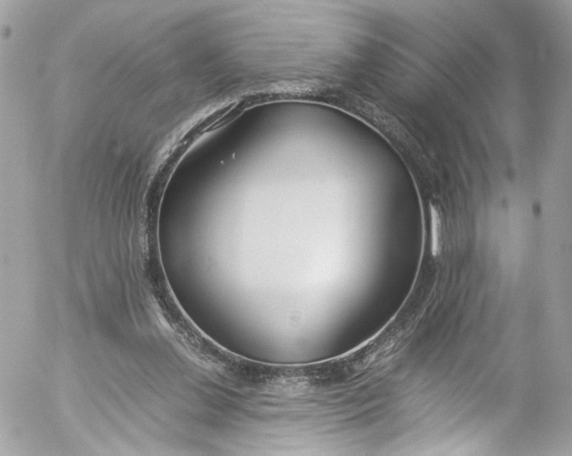 X0000052550252200507221458