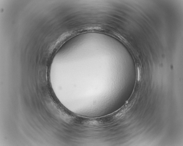 X0000052550253200507221458