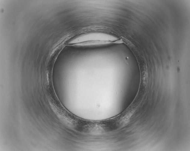 X0000052550254200507221458