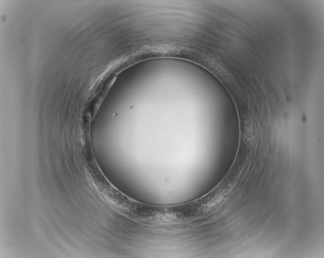 X0000052550256200507221458