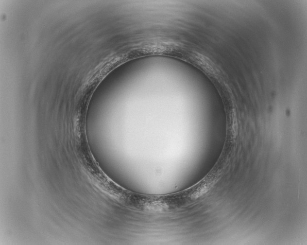 X0000052550258200507221458