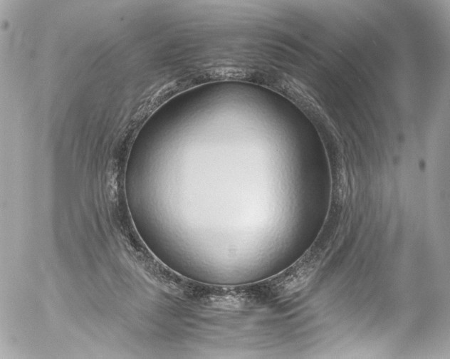 X0000052550259200507221458