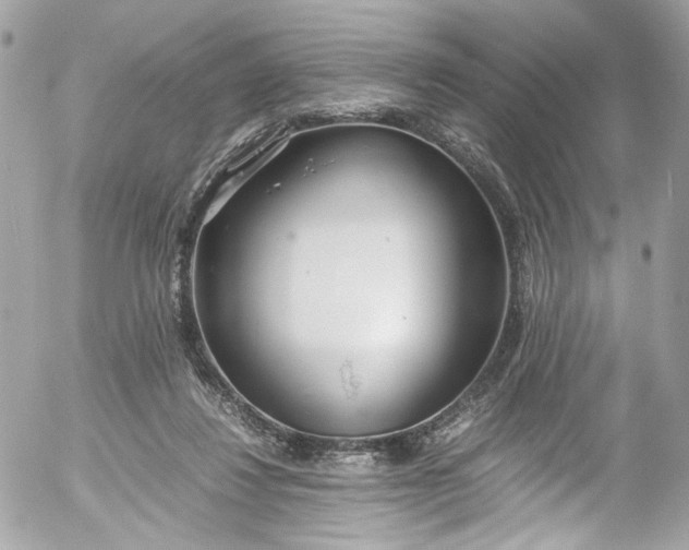 X0000052550260200507221458