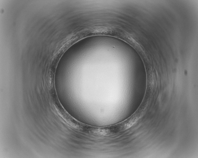 X0000052550261200507221458