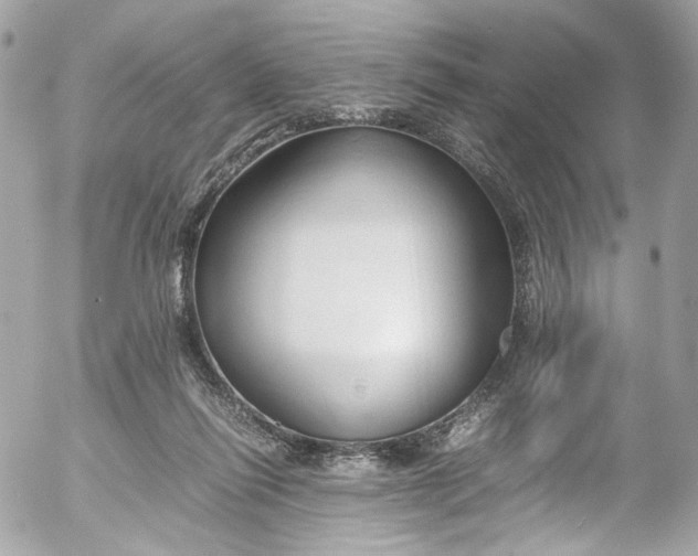 X0000052550262200507221458