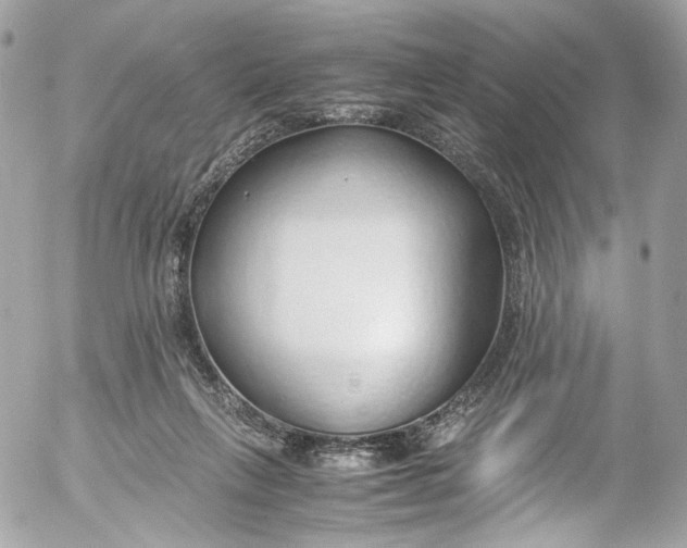 X0000052550263200507221458