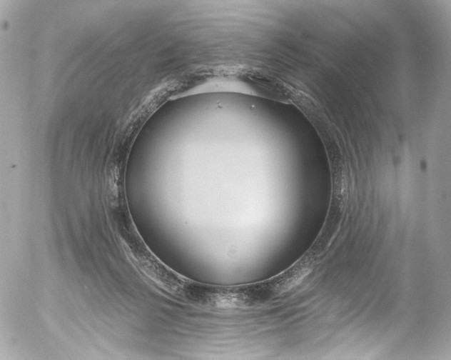 X0000052550264200507221458