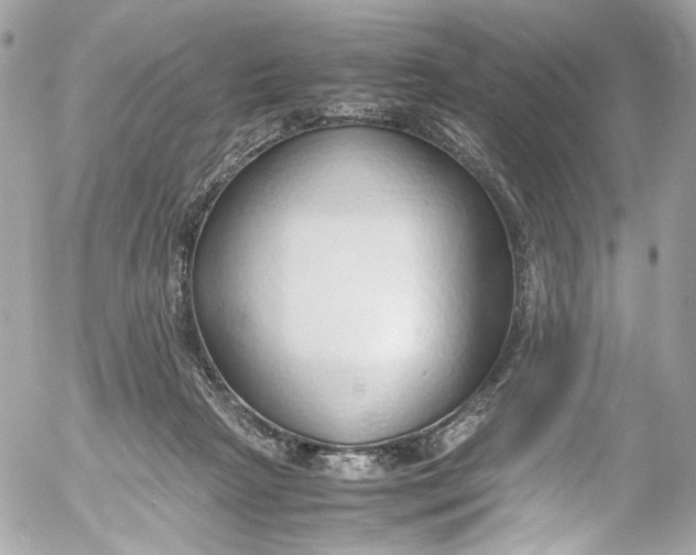 X0000052550265200507221459