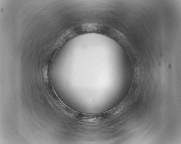 X0000052550267200507221459