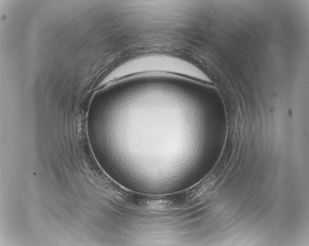 X0000052550268200507221459