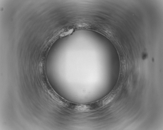 X0000052550269200507221459