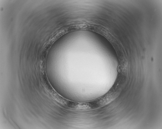 X0000052550270200507221459