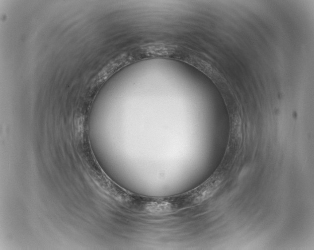 X0000052550271200507221459