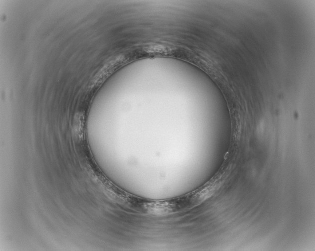 X0000052550273200507221459