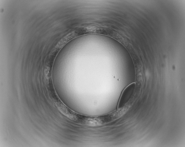 X0000052550275200507221459