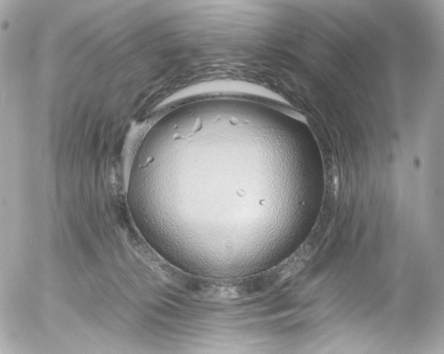 X0000052550276200507221459