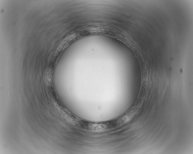 X0000052550277200507221459