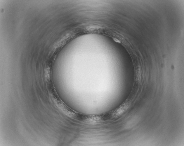 X0000052550278200507221459