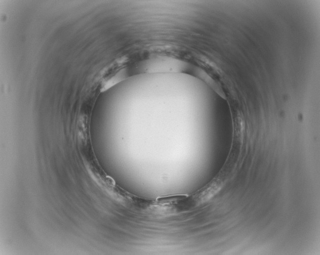 X0000052550280200507221459