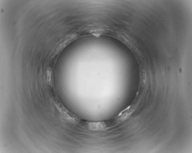 X0000052550281200507221459