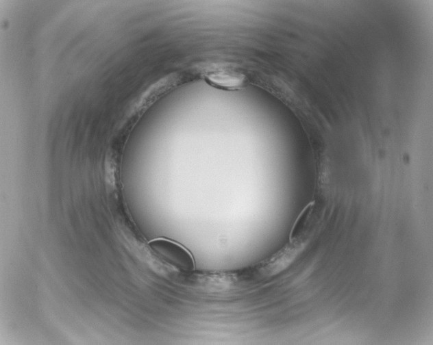 X0000052550282200507221459