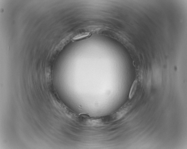 X0000052550283200507221459