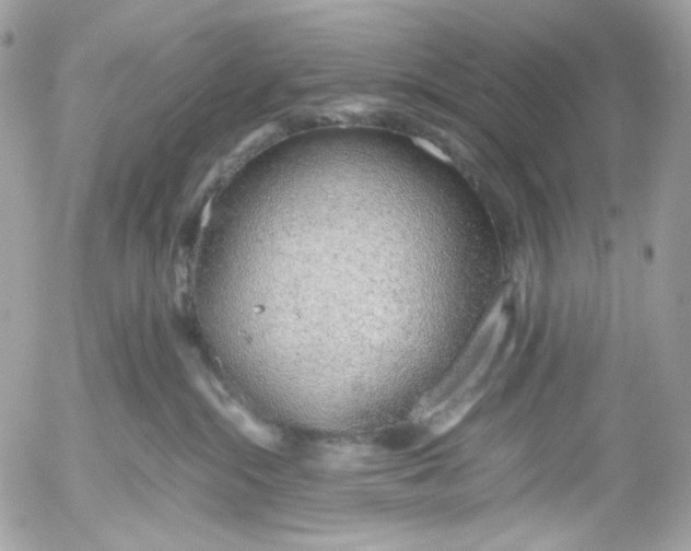 X0000052550284200507221459