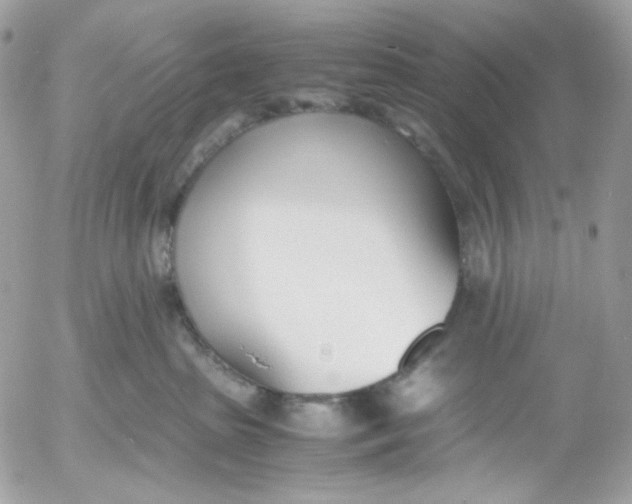 X0000052550285200507221459