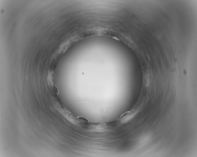 X0000052550286200507221459