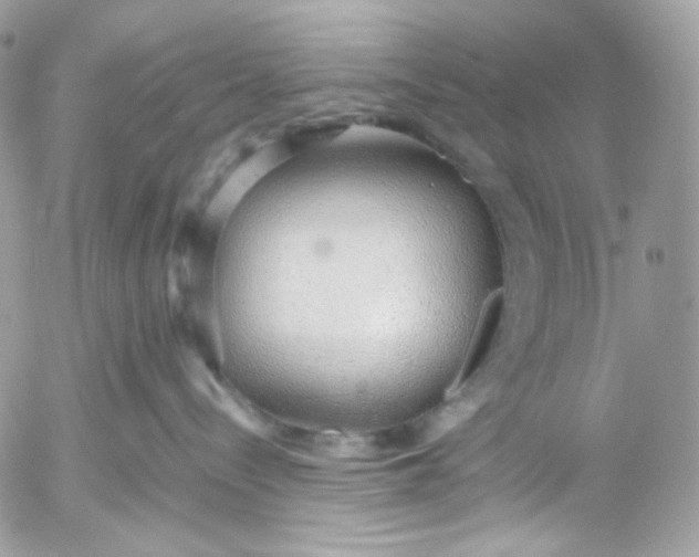 X0000052550288200507221459