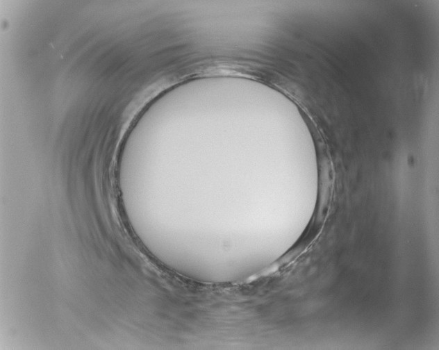 X0000052550289200507221458