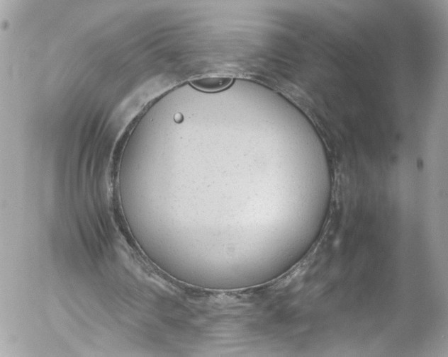 X0000052550290200507221458