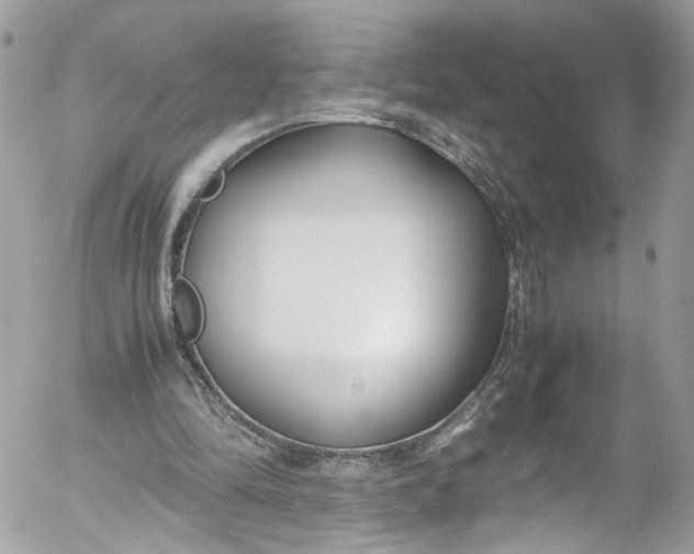 X0000052550294200507221458