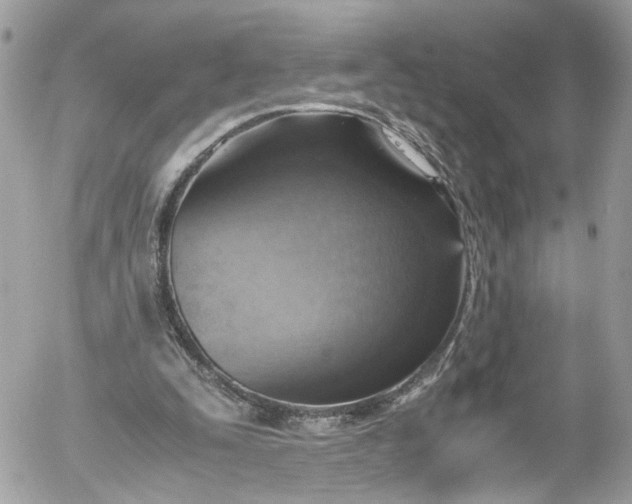 X0000052550295200507221458