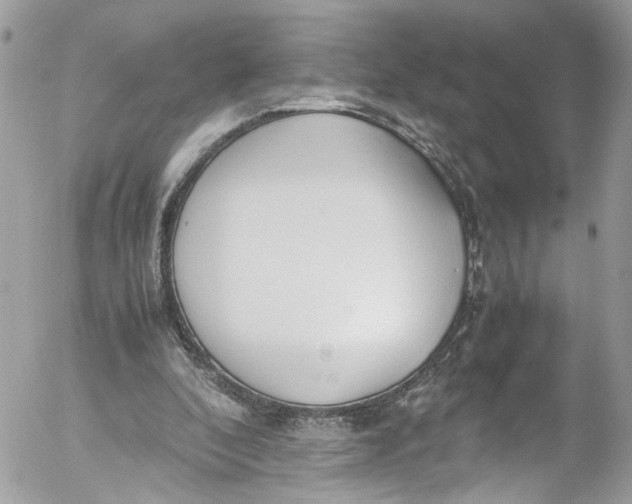 X0000052550296200507221458