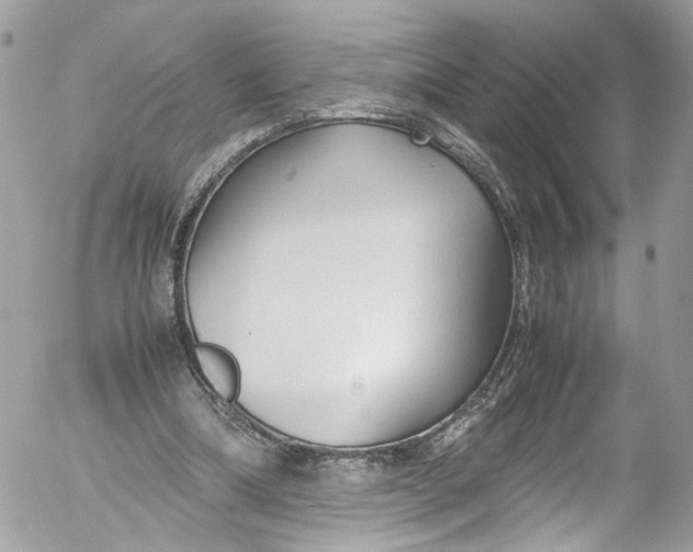 X0000052550298200507221458