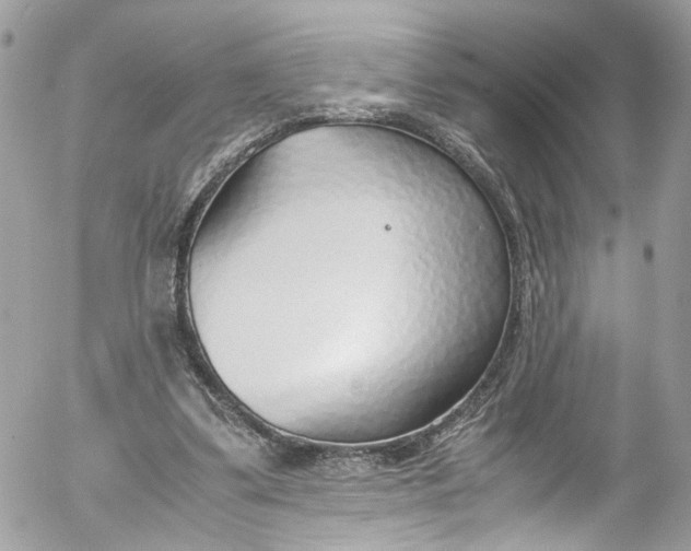 X0000052550299200507221458