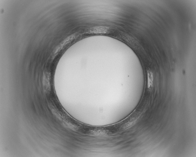 X0000052550300200507221458