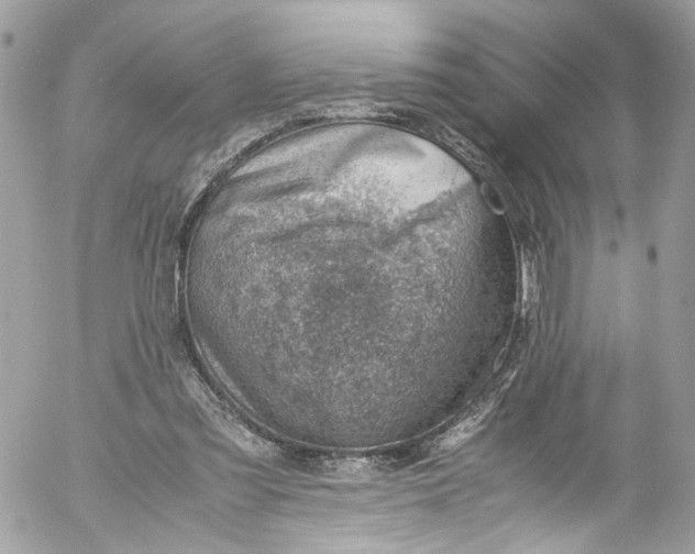 X0000052550301200507221458