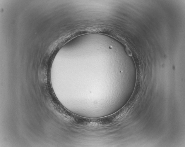 X0000052550303200507221458