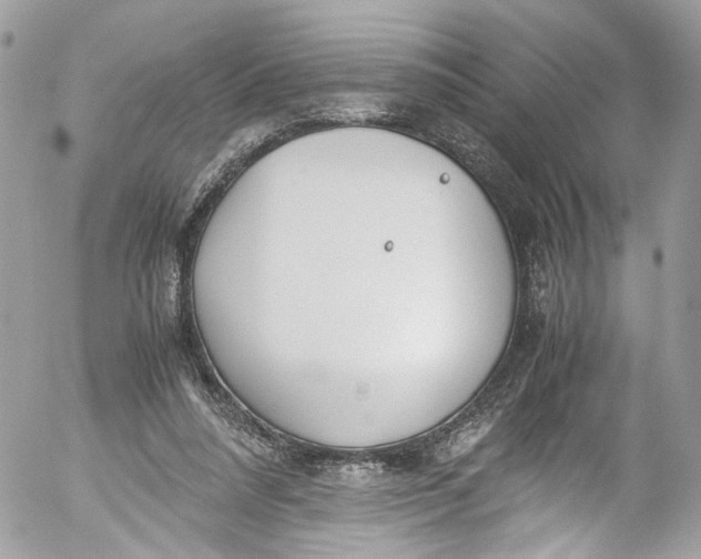 X0000052550304200507221458